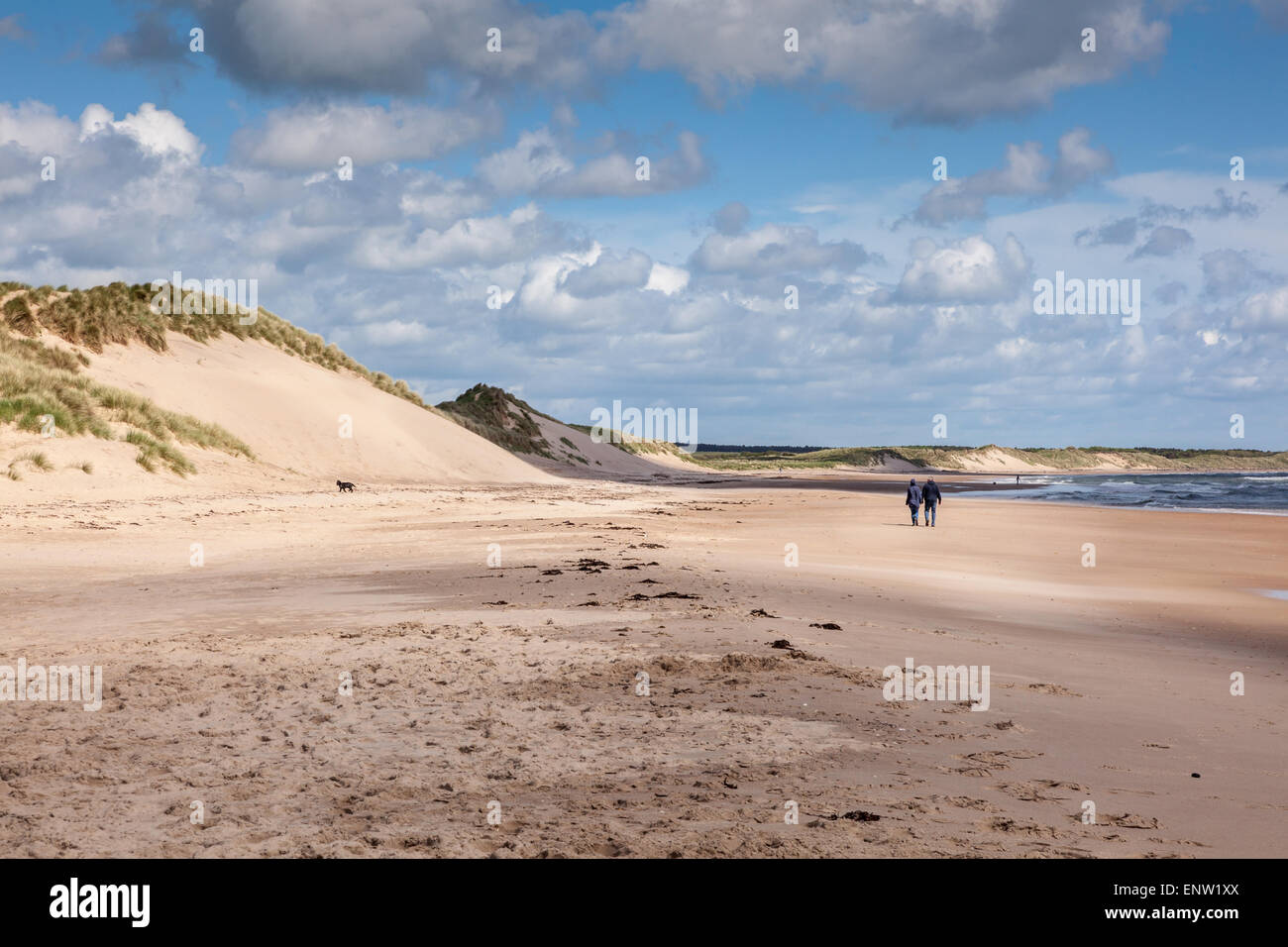 Blick auf den Strand und Dünen mit entfernten Hund Spaziergänger, Druridge Bay, Northumberland, UK Stockfoto