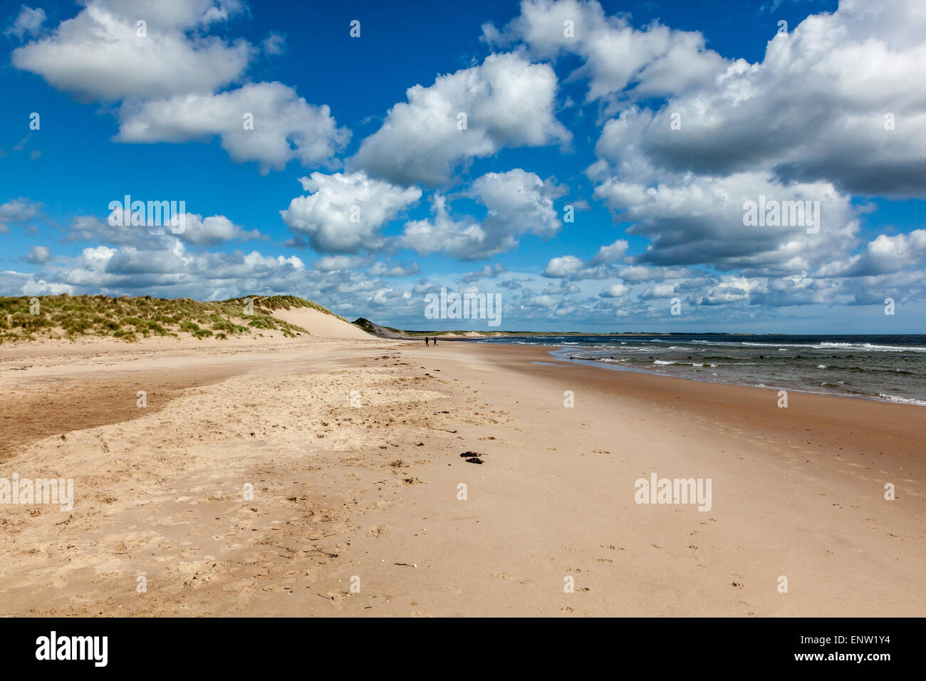 Blick auf den Strand und Dünen mit entfernten Hund Spaziergänger, Druridge Bay, Northumberland, UK Stockfoto