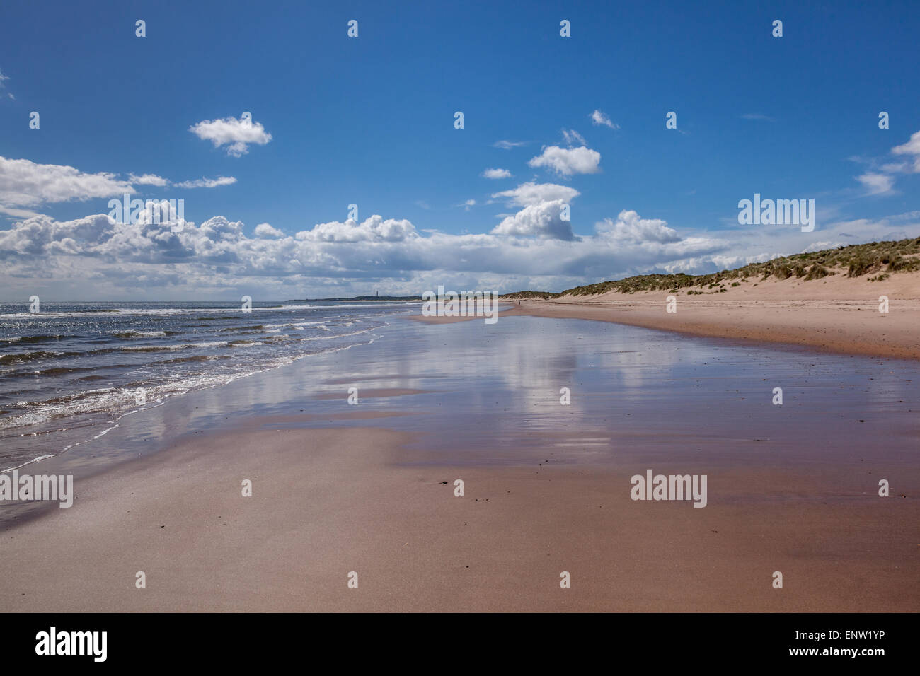 Blick auf den Strand und Dünen, mit Reflexionen des Himmels im nassen Sand, Druridge Bay, Northumberland, UK Stockfoto