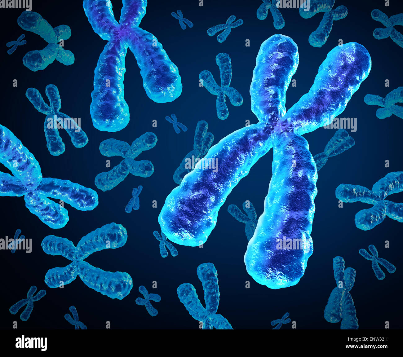 Chromosomen-Gruppe als ein Konzept für eine menschliche Biologie x Struktur mit Dna genetische Informationen als medizinische Symbol für Gen-Therapie oder Mikrobiologie-Genetik-Forschung. Stockfoto