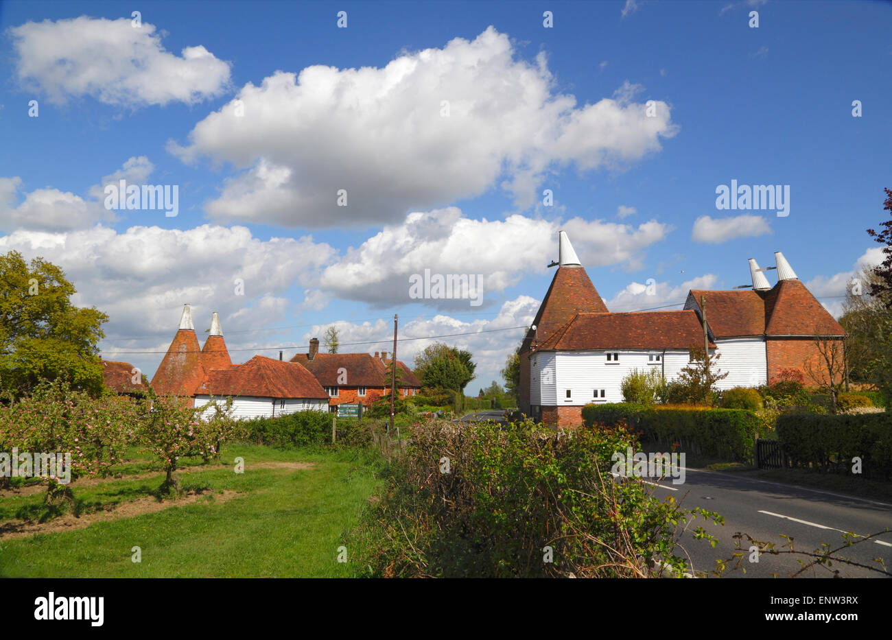 Malerische Kentish Oast Houses and Apple Orchards, Kent, Großbritannien. Traditionelle ländliche Szene in Kent. Typische Gebäude Stockfoto