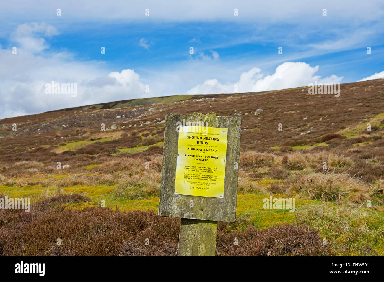Melden Sie bittet Wanderer nicht zu stören Boden brütende Vögel, Swaledale, Yorkshire Dales National Park, North Yorkshire, England UK Stockfoto