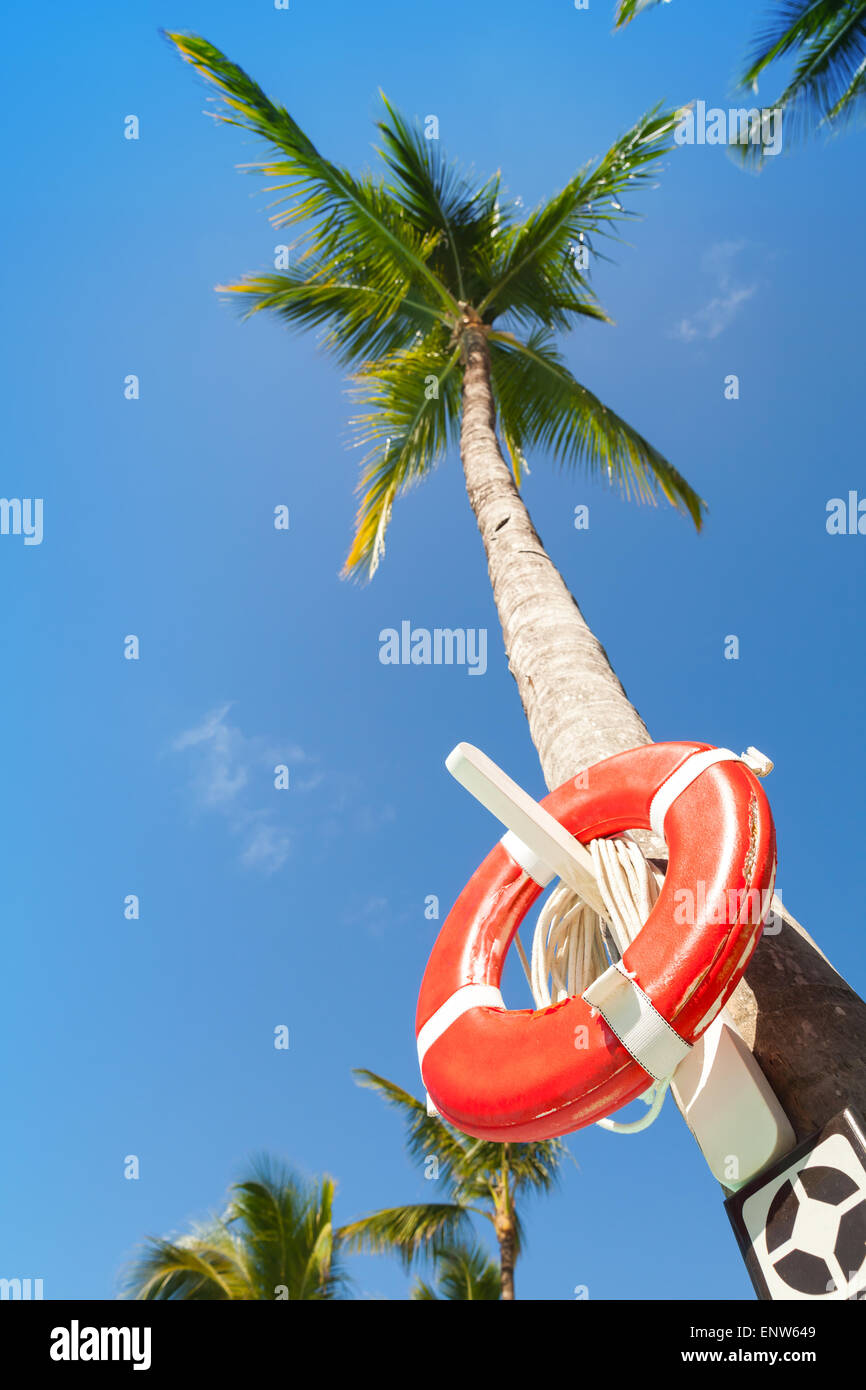 Rote Runde Rettungsring hängen die hohen Palme am Strand in der Dominikanischen Republik Stockfoto