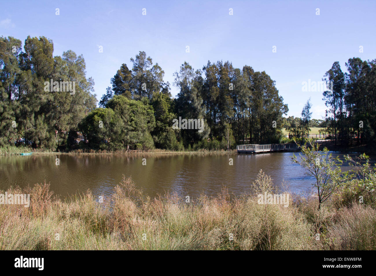 Sydney Park (Easton Road, Alexandria Seite). Bildnachweis: Richard Milnes/Alamy Stockfoto