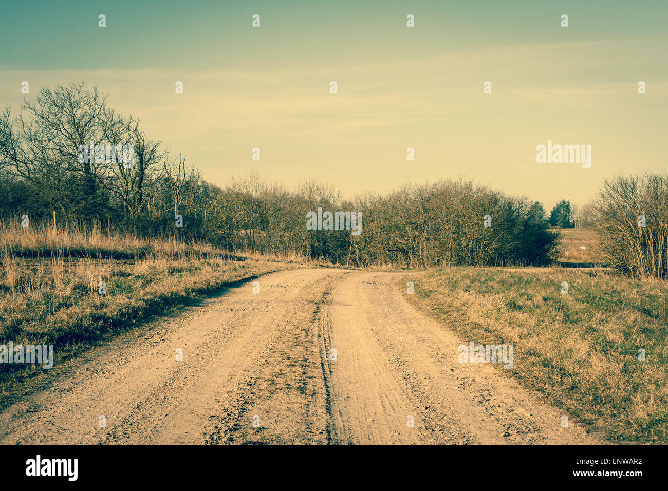 Dirt-Track-Straße mit Bäumen im Herbst Stockfoto