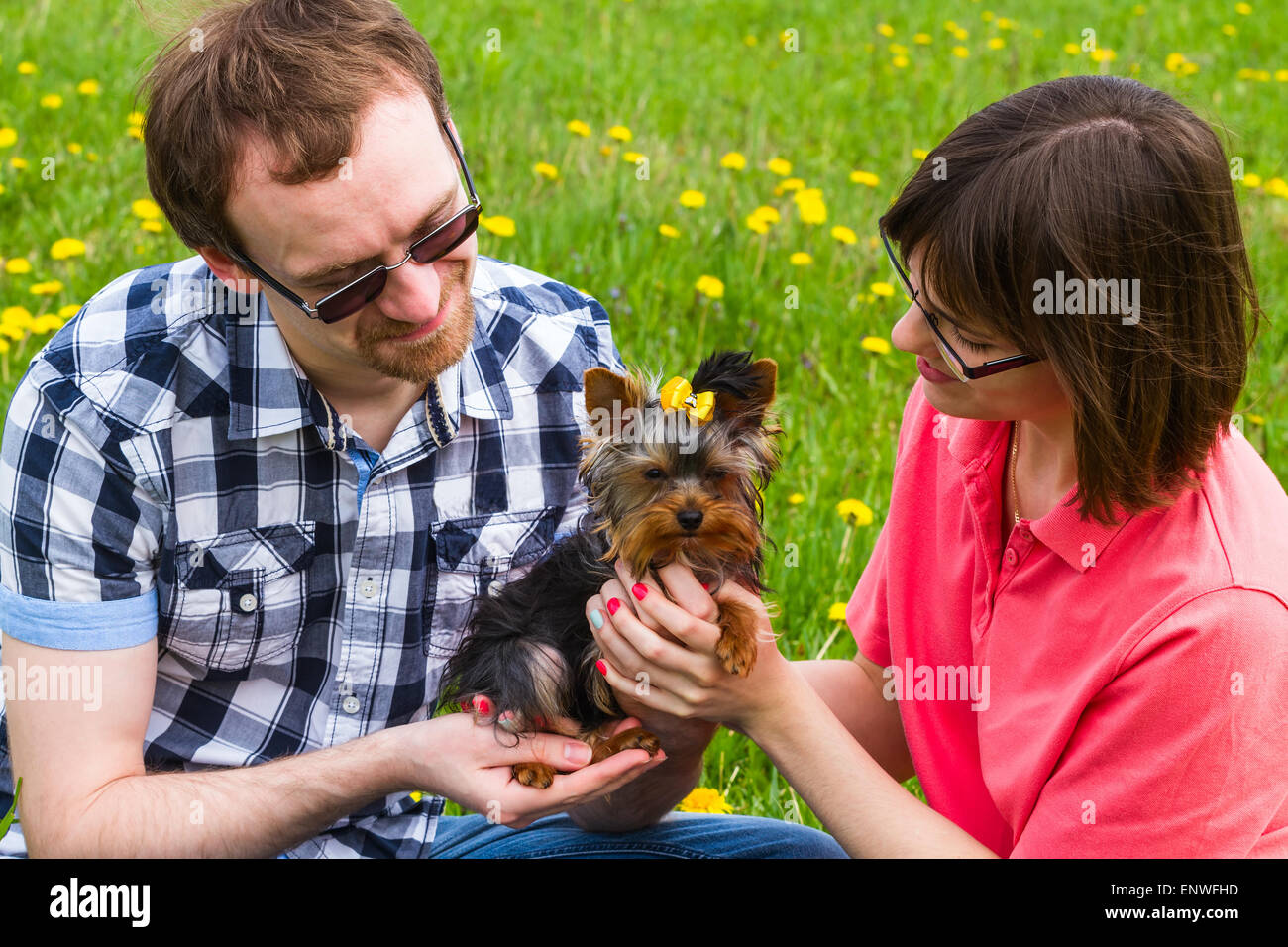Garn-Mann und Mädchen mit York Terrier auf wilde Wiese mit Löwenzahn Stockfoto