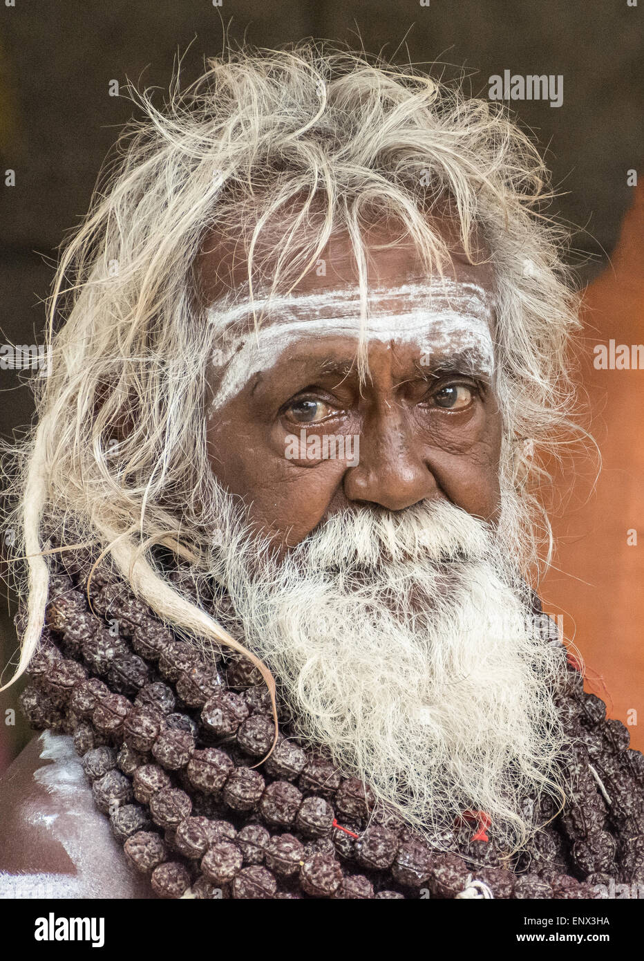 Porträt von Sadhu auf Sri Ramana Ashram in Tiruvannamalai, Indien Stockfoto