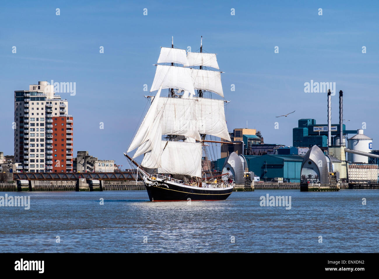 Hoch Segelschiff, Morgenster, segelt durch die offenen River Thames Barrier Hochwasserabwehr, London Stockfoto