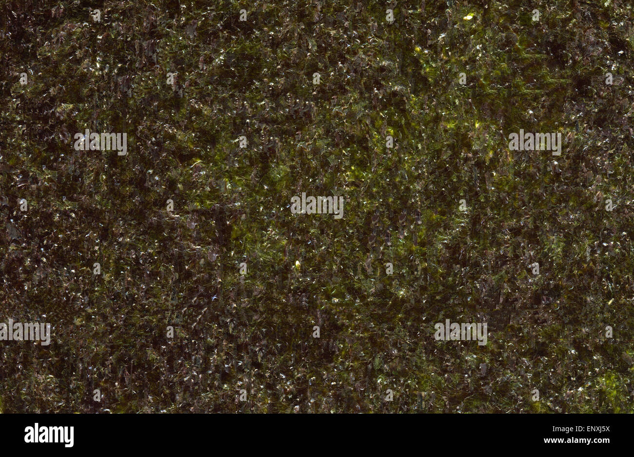 hohe Auflösung Algen Nori Textur Hintergrund Stockfoto