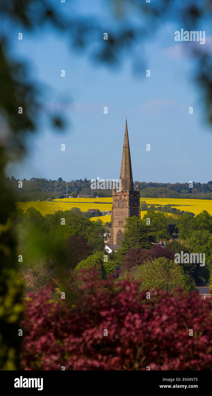 St. Johannes Kirche dominiert die Landschaft in der kleinen Stadt Bromsgrove in Worcestershire mit Feldern von Raps hinter Stockfoto