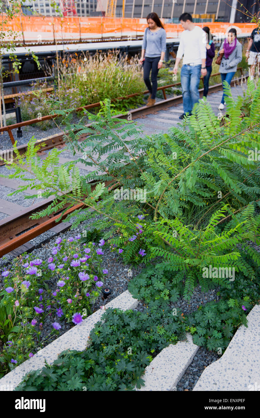 USA, New York, Manhattan, Menschen zu Fuß zwischen Pflanzen und alten Schienen auf der High Line linear Park auf einer erhöhten stillgelegten Eisenbahn Spur namens The West Side Line neben den Hudson Rangierbahnhöfen. Stockfoto