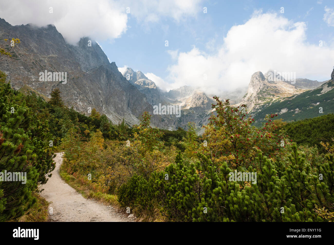 Slowakei, Tatra, Dolina Zeleneho Plesa. Wandern Berge im Herbst Stockfoto