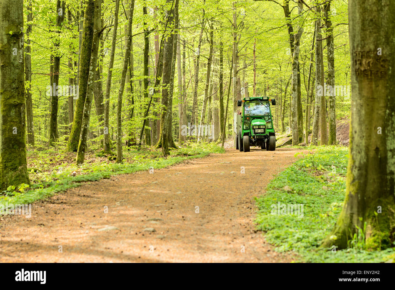 Ronneby, Schweden - 11. Mai 2015: Kleine John Deere Komprimierungsprogramm Traktor 2520 in den Wald auf schmalen Pfad verwendet. Hier zu sehen mit einem Anhänger in Buchenwald umgeben. Stockfoto