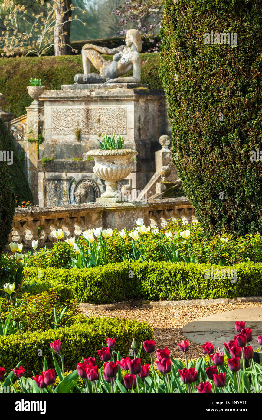 Tulpen auf der Terrasse des Bowood House in Wiltshire. Stockfoto