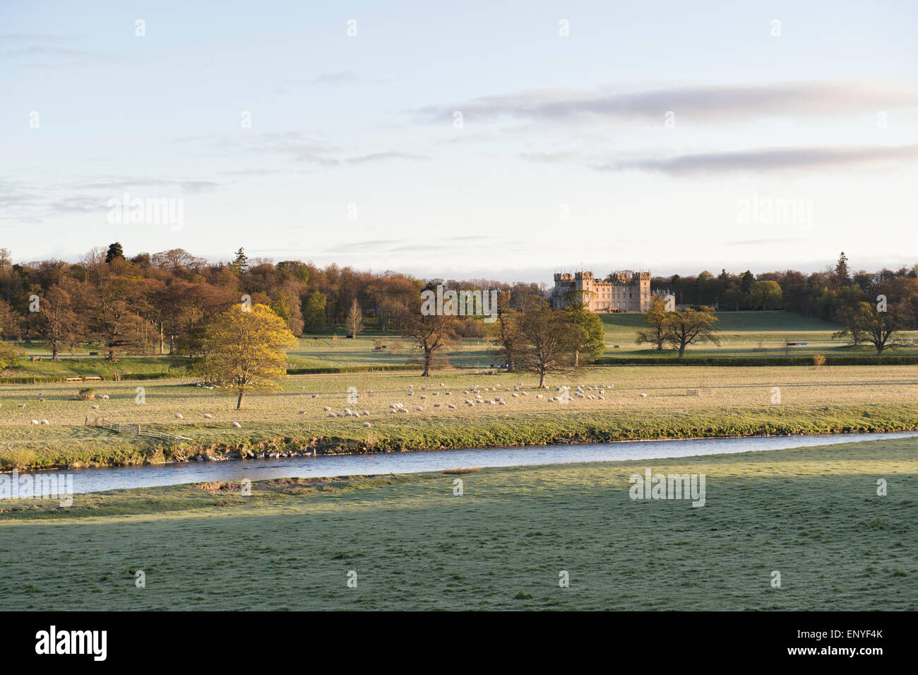 Floors Castle auf der Roxburghe Estate, Kelso, Schottland Stockfoto