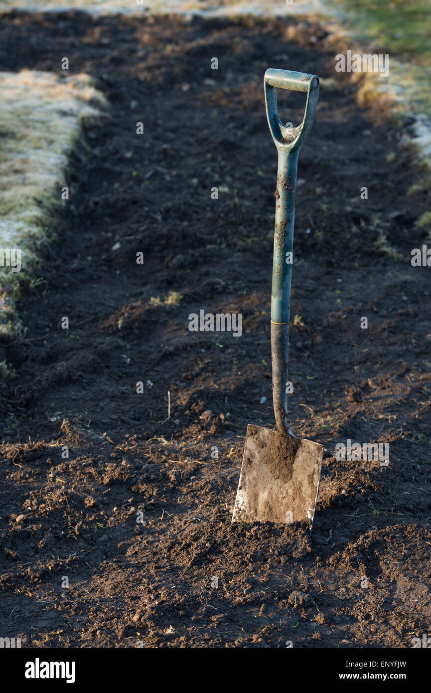 Garten Spaten verwendet Grasnabe aus zu einem Garten ein gemüsebeet zu machen. Schottland Stockfoto