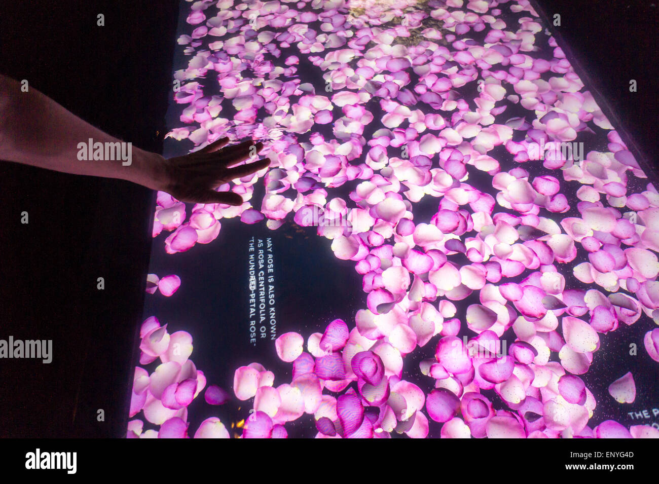 Besucher amüsieren sich bei einem interaktiven Chanel No. 5 Parfüm branding Event im Meatpacking District in New York auf Freitag, 8. Mai 2015. Die Teilnehmer erhielten, interaktive Exponate erklären die Geschichte des Parfüms, gegründet 1921, und die Einführung einer neuen, leichteren Version des klassischen Nr. 5, Eau Premiére zu verwenden. (© Richard B. Levine) Stockfoto