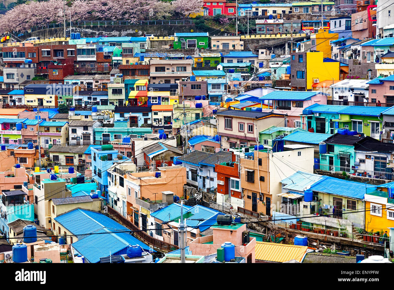 Gamcheon Culture Village, Busan, Südkorea. Stockfoto