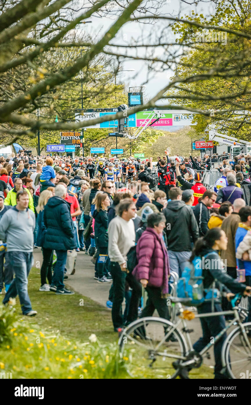 Finale Phase 2015 Tour de Yorkshire, Roundhay Park, Leeds, West Yorkshire, Zuschauer versammelten sich um am Ziel für Radfahrer Stockfoto