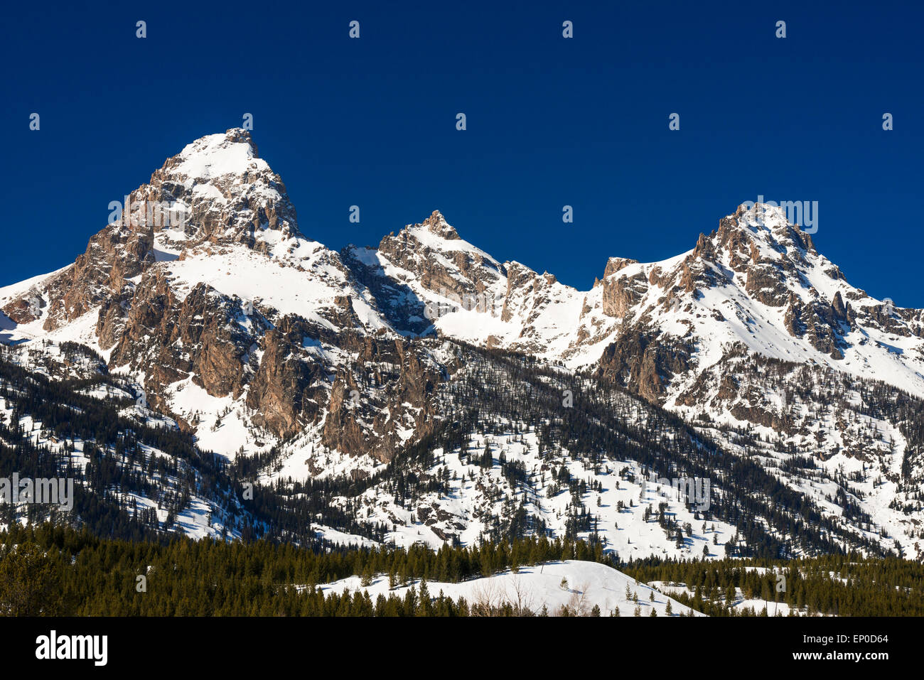 Die Kathedrale-Gruppe im Winter, Grand-Teton-Nationalpark, Wyoming, USA Stockfoto