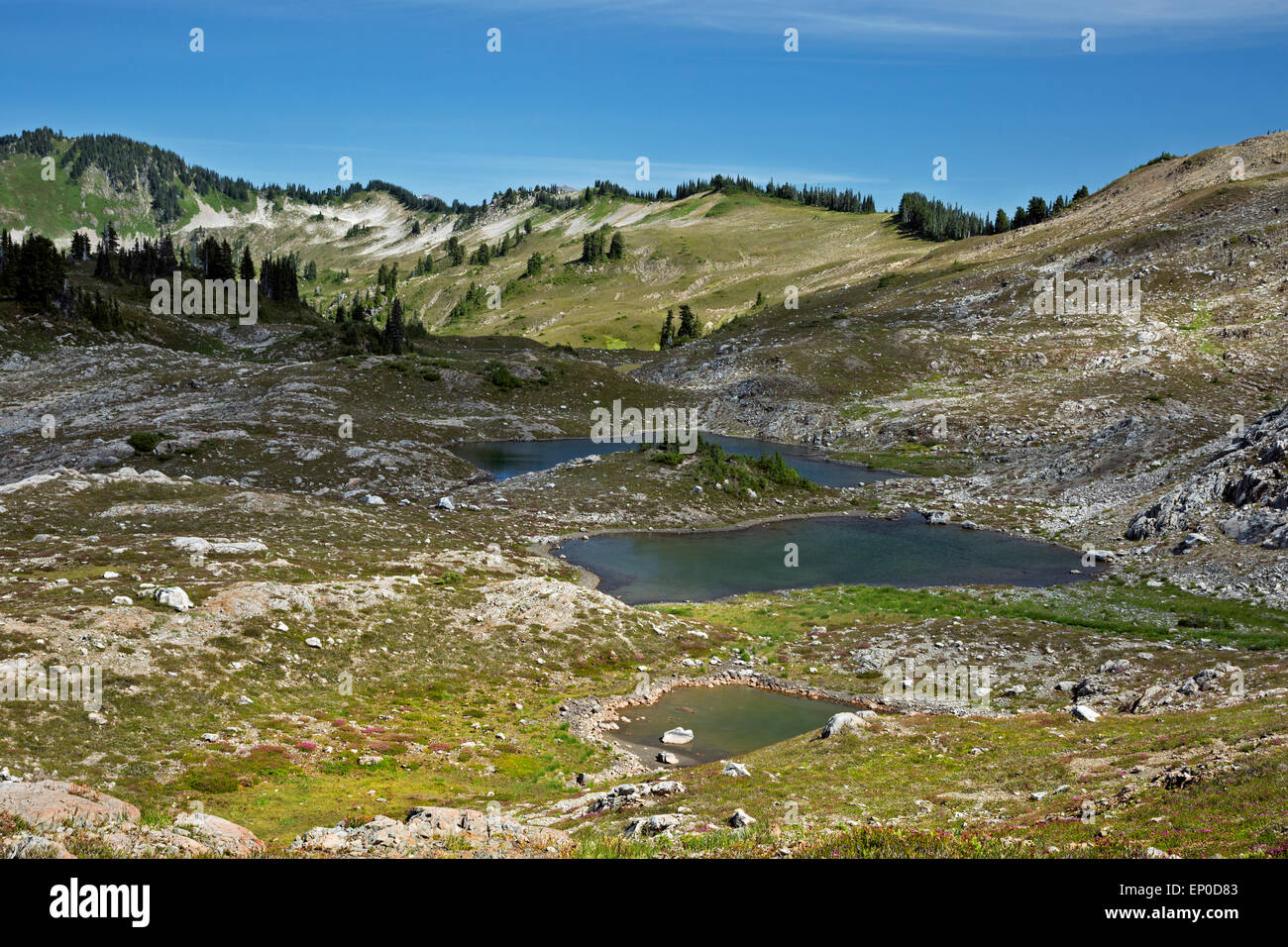WA10702-00... WASHINGTON - Eis-Seen im Bereich sieben Seen Becken des Olympic National Park. Stockfoto