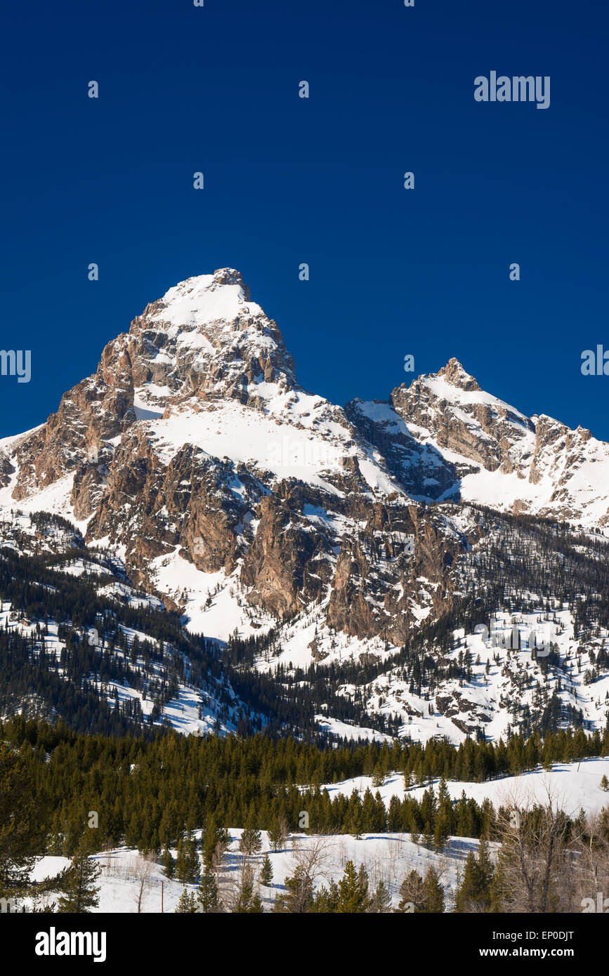 Die Kathedrale-Gruppe im Winter, Grand-Teton-Nationalpark, Wyoming, USA Stockfoto