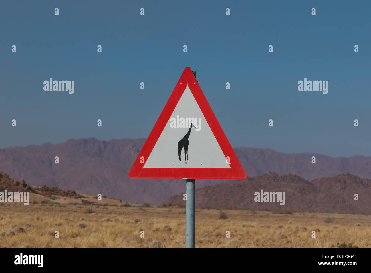 Roadsign Warnung für Giraffe beim Überqueren der Straße in Afrika. Stockfoto