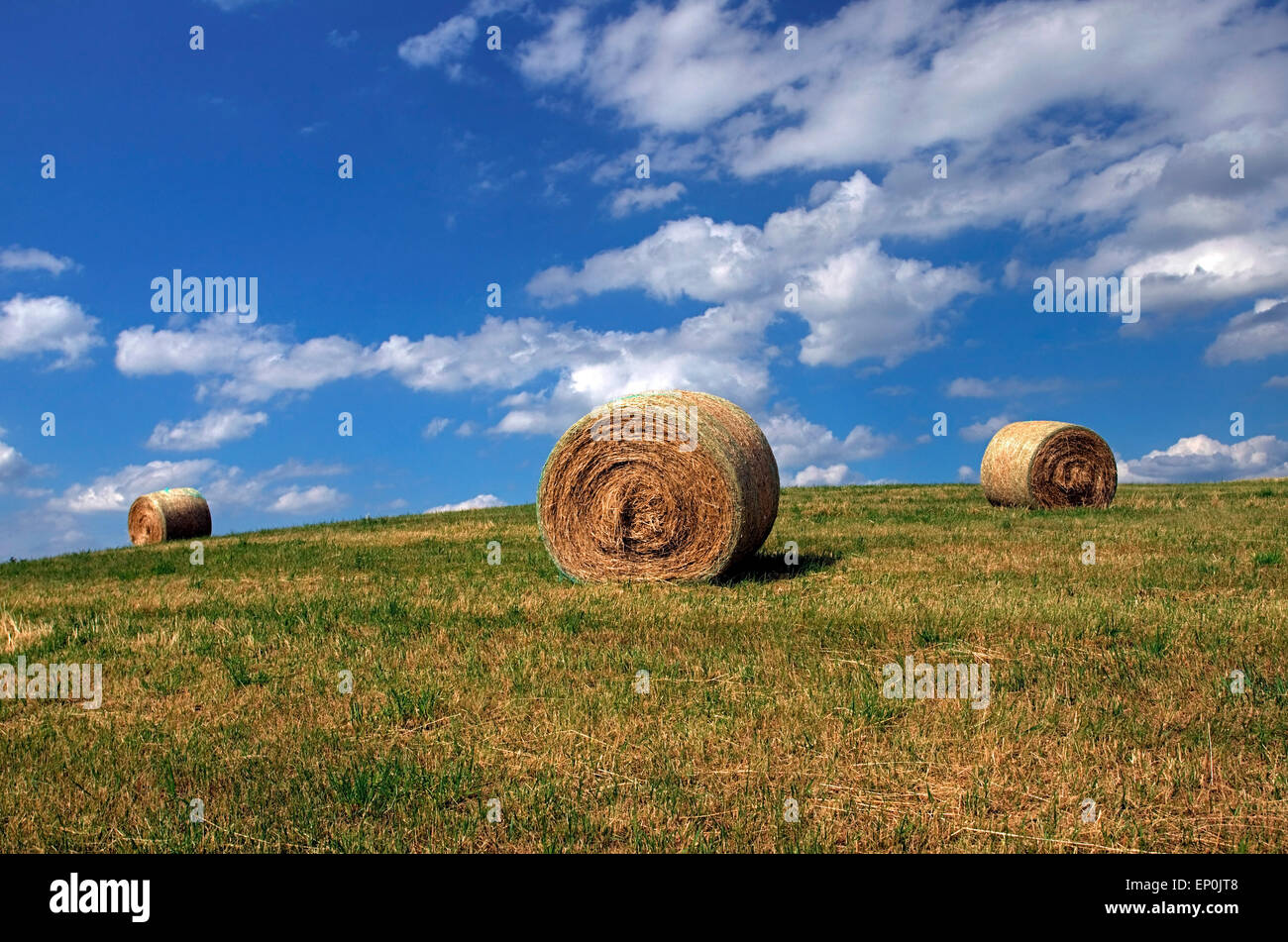 Stroh Ball Verlegung auf dem abgeernteten Feld Stockfoto