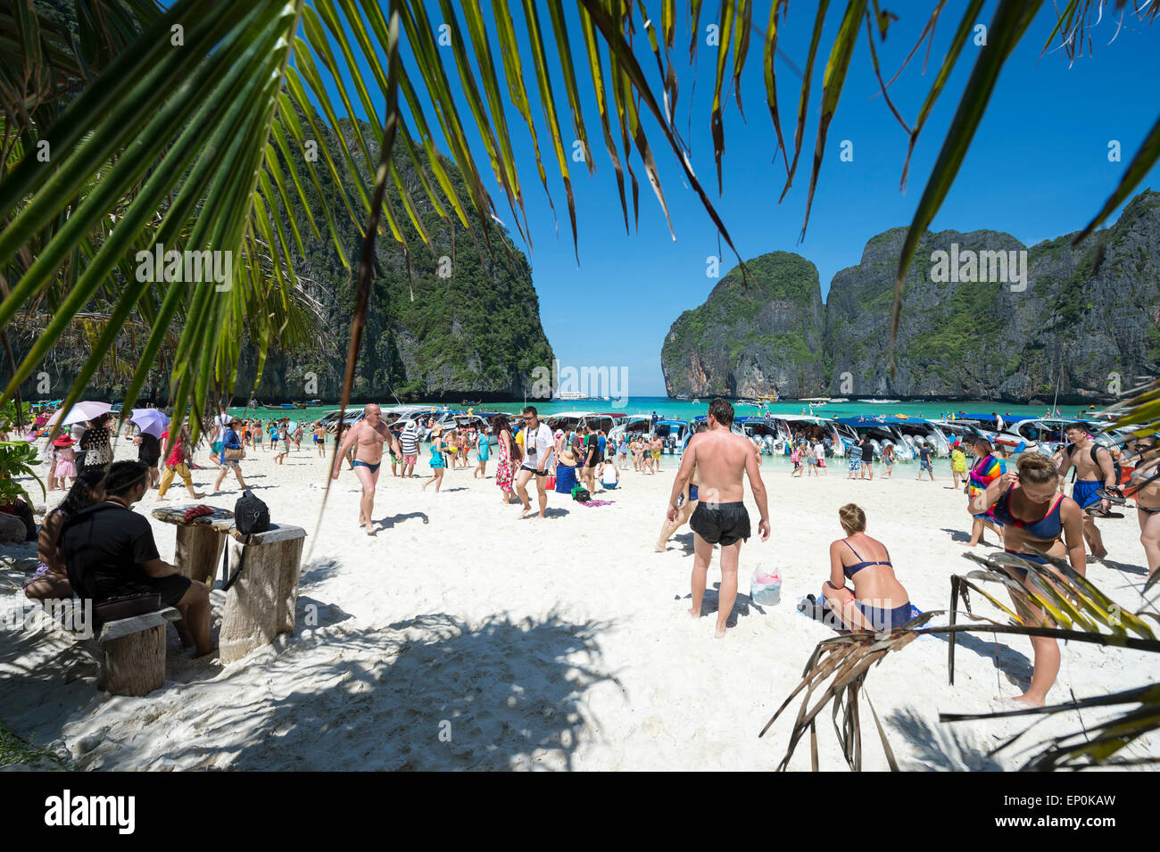 MAYA BAY, THAILAND - 12. November 2014: Sonnenbaden Besucher geniessen Sie einen Tagesausflug am legendären Strand von Maya Bay. Stockfoto