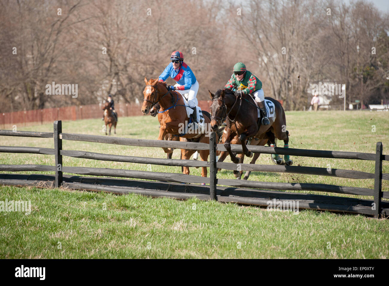 Rennpferde mit Jockeys Sprung über einen Zaun auf der Manor-Rennen in Monkton, Maryland Stockfoto