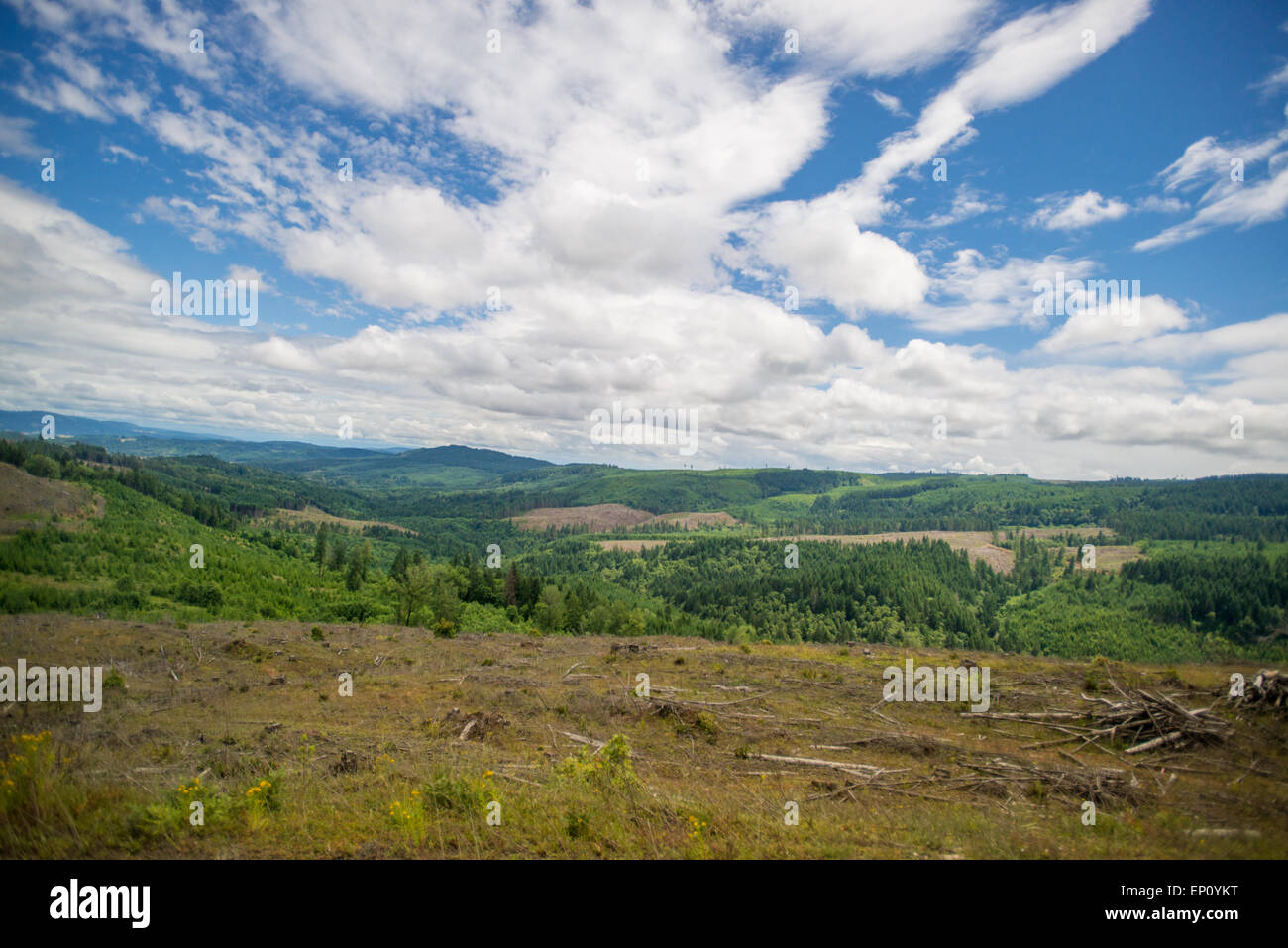 Landschaft in Oregon. Stockfoto
