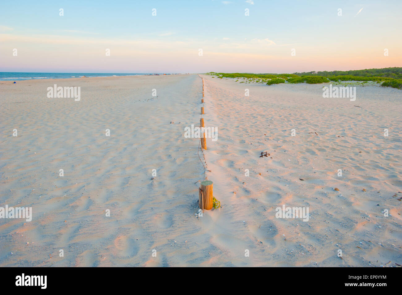 Sandstrand an der Assateague Island National Seashore, Maryland, USA Stockfoto