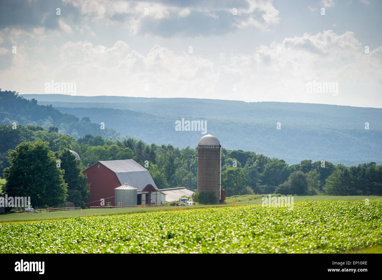 Malerische Landschaft des Bauernhof in Garrett County, Maryland, USA Stockfoto