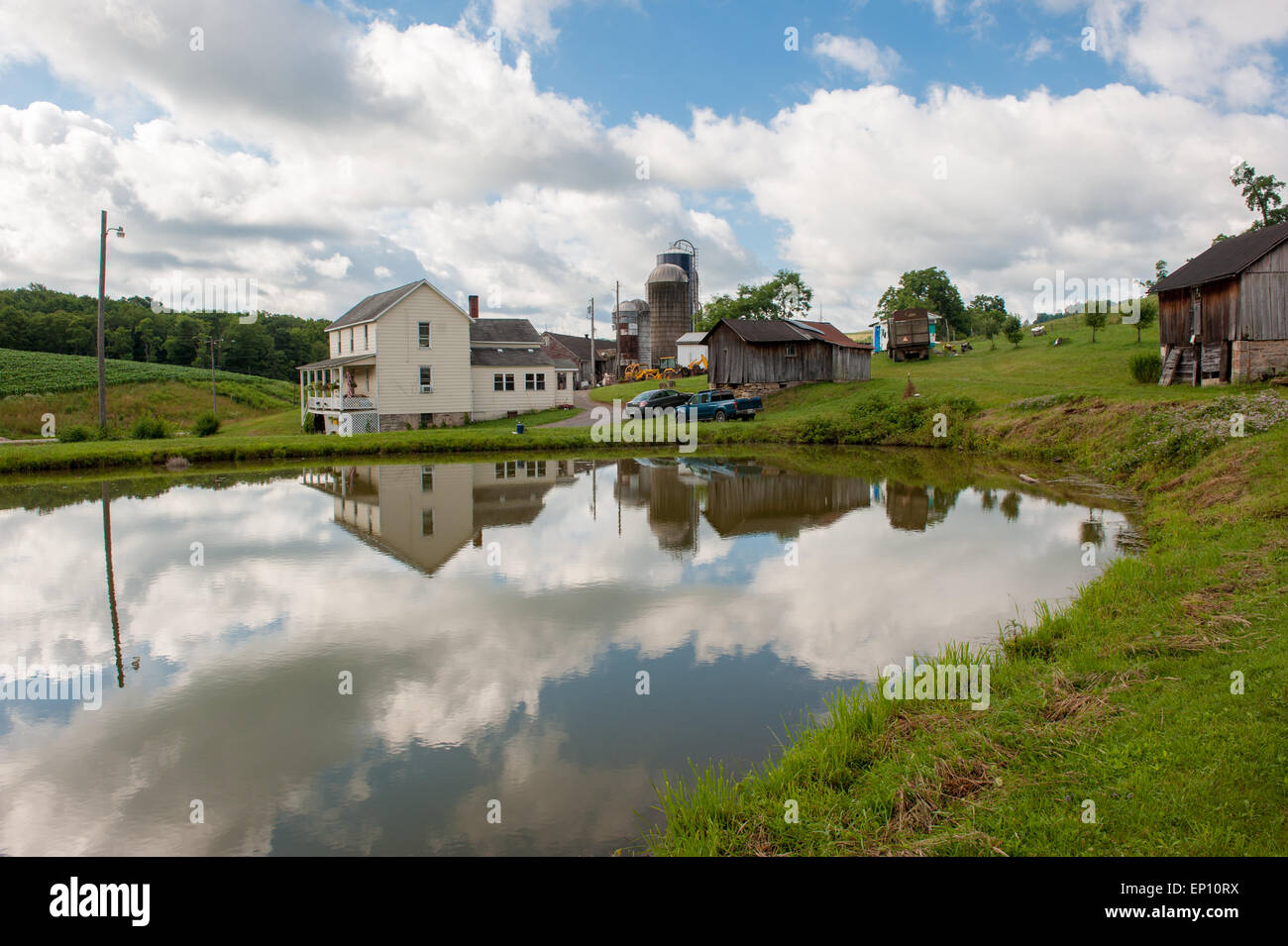 Reflexionen im Teich Farm in Garrett County, Maryland, USA Stockfoto