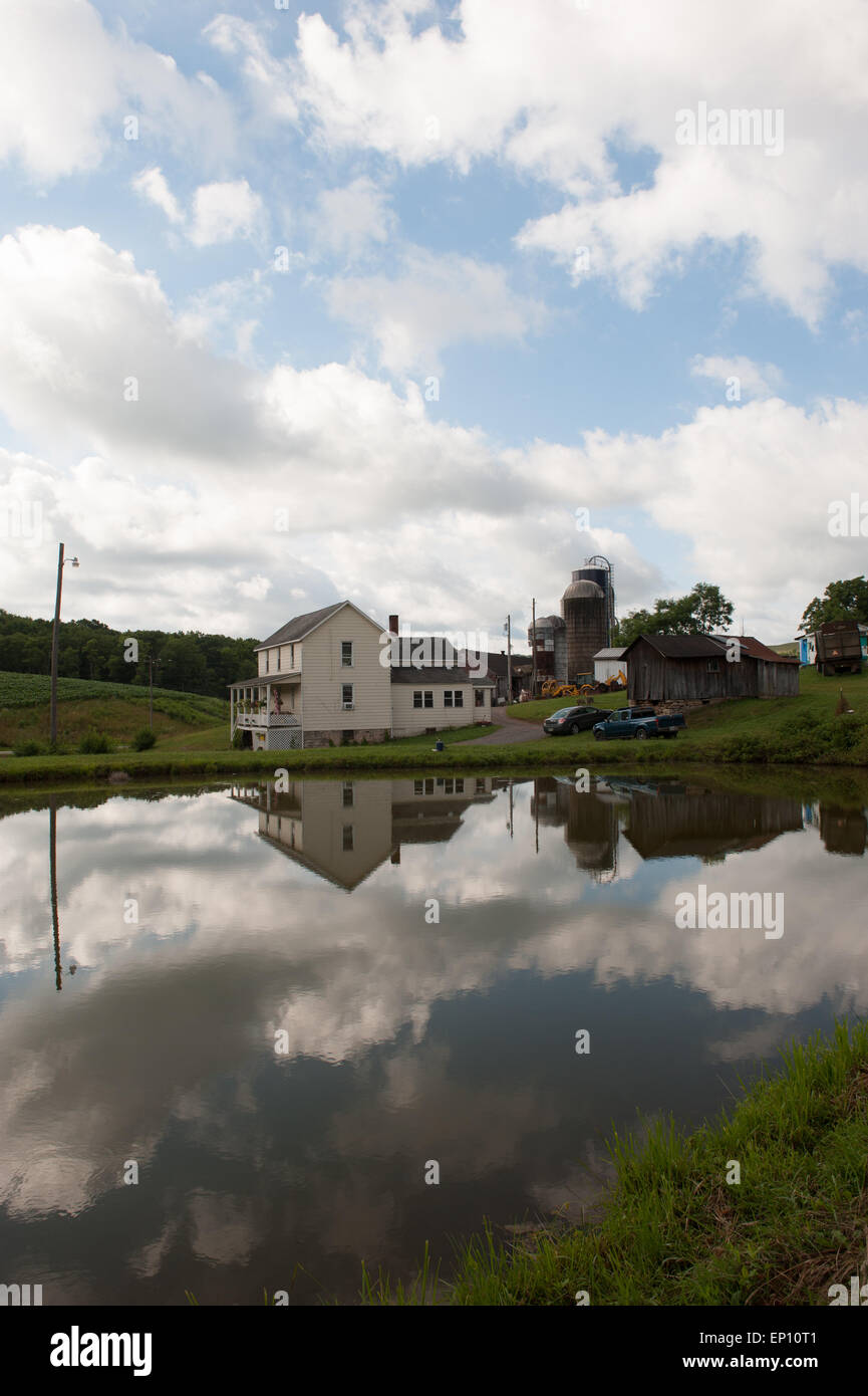 Reflexionen im Teich Farm in Garrett County, Maryland, USA Stockfoto