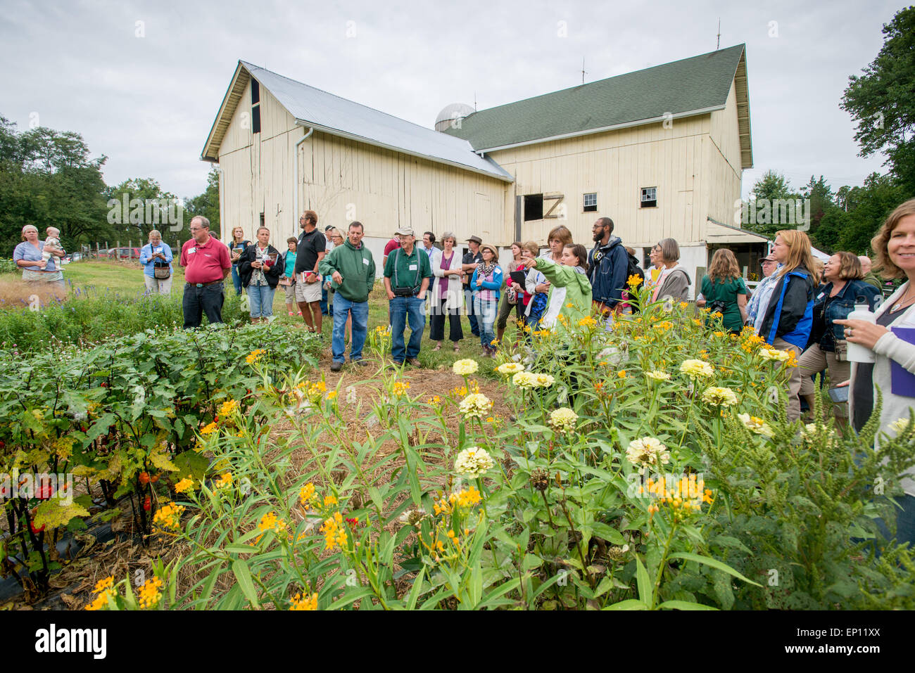 Gruppe von Menschen bei einer Blumenfarm in Fallston, Maryland, USA Stockfoto