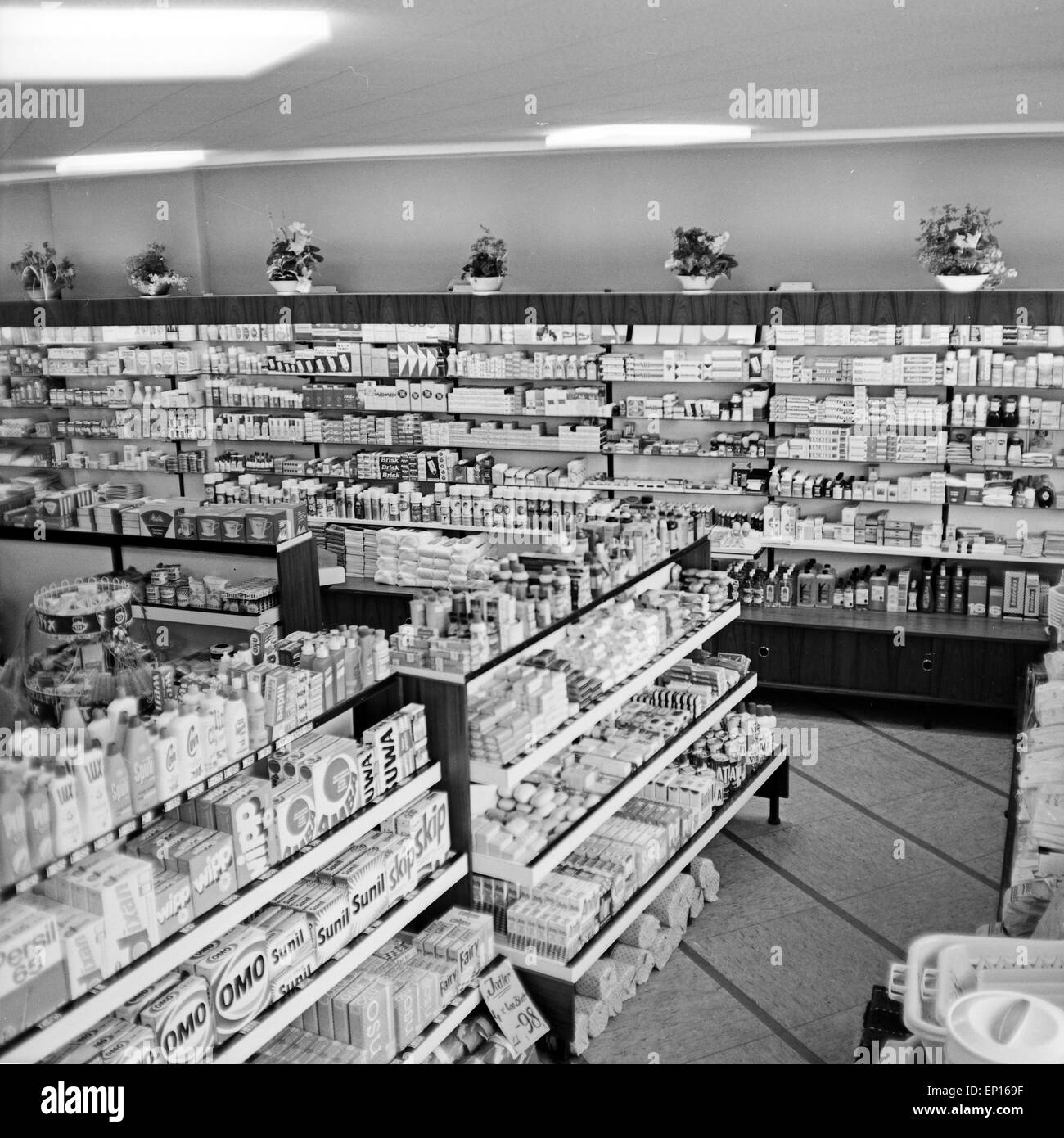 Volle Regale in Einer Drogerie in Hamburg, Deutschland, 1960er Jahre.  Gefüllte Regale in einer Apotheke in Hamburg, Deutschland 196  Stockfotografie - Alamy