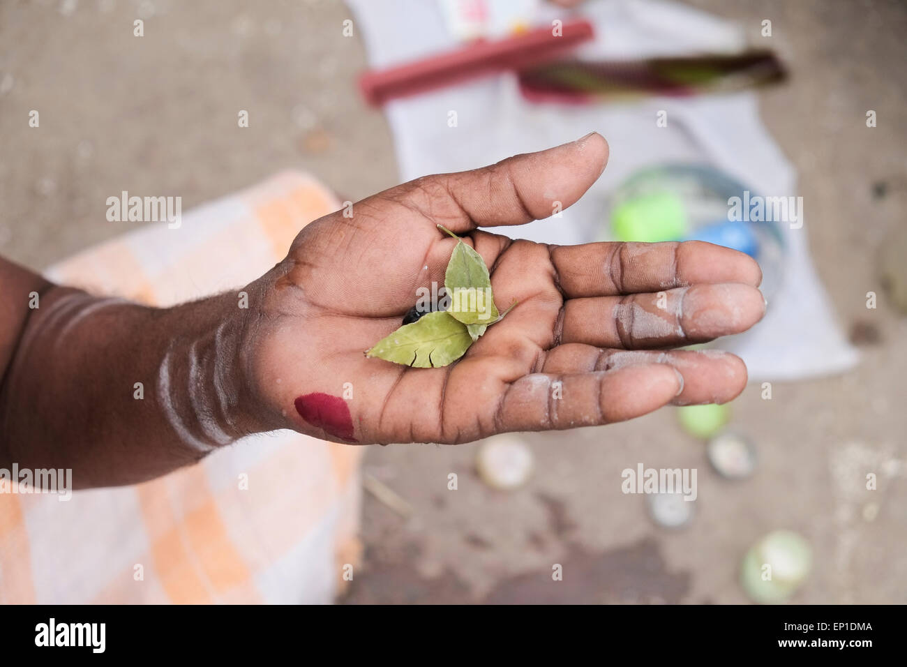Stier kämpfen auf Ghats von Varanasi. Stockfoto