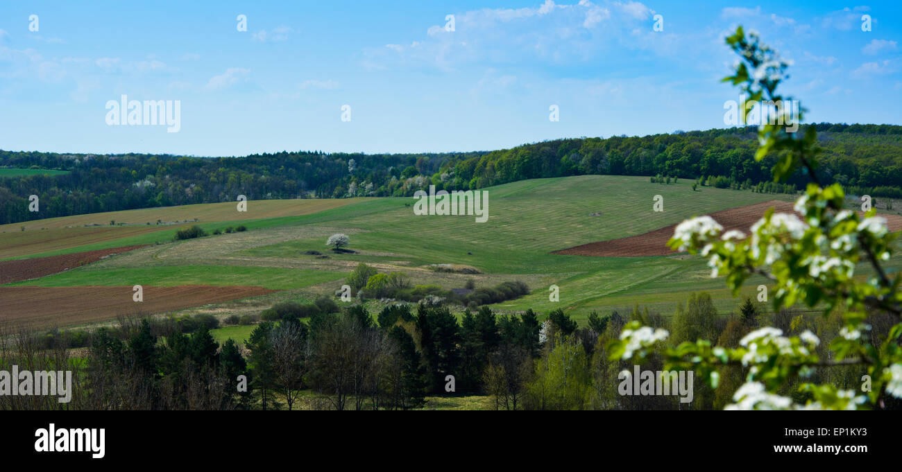 Grüne Hügel in der Nähe von Aggtelek in Ungarn im Frühling Stockfoto