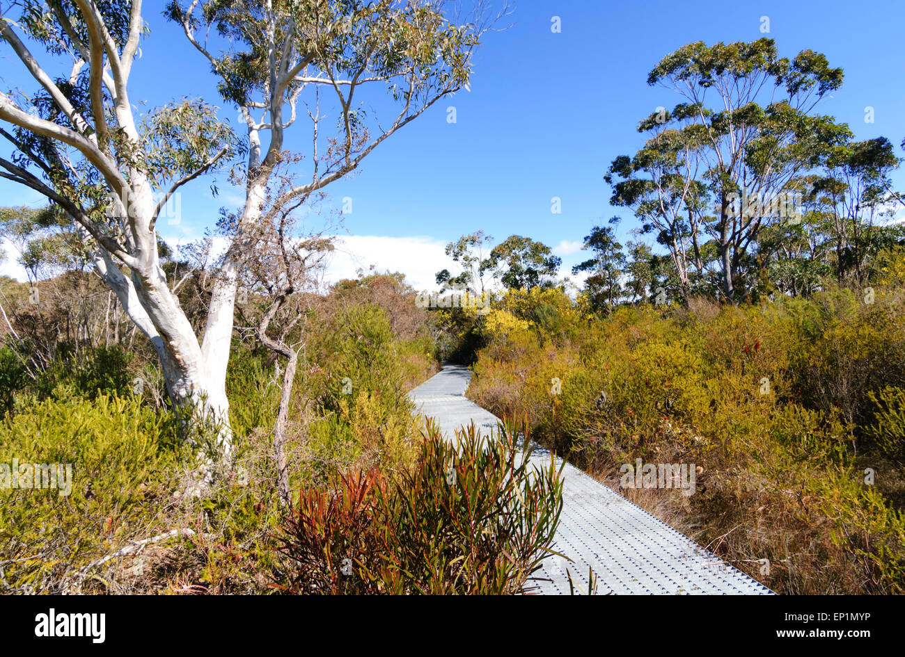 Von Sydney Airport Bis Nach Dharawal National Park www.alamy.de