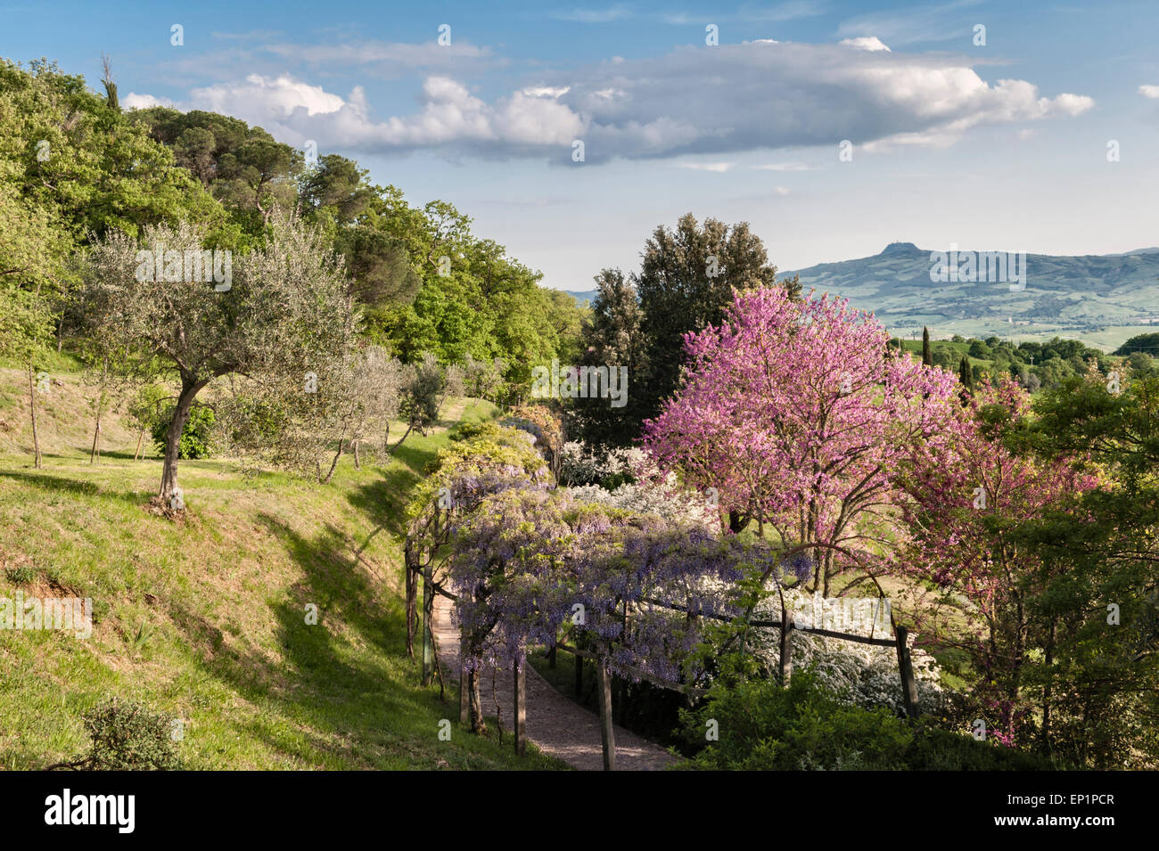 La Foce, Chianciano Terme, Toskana, Italien. Garten von Cecil Pinsent für Iris Origo und ihre Familie in den 1930er Jahren entwickelt. Stockfoto