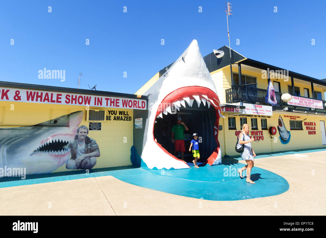 Vic Hislop Hai und Wal zeigen, Hervey Bay, Queensland, Queensland, Australien Stockfoto