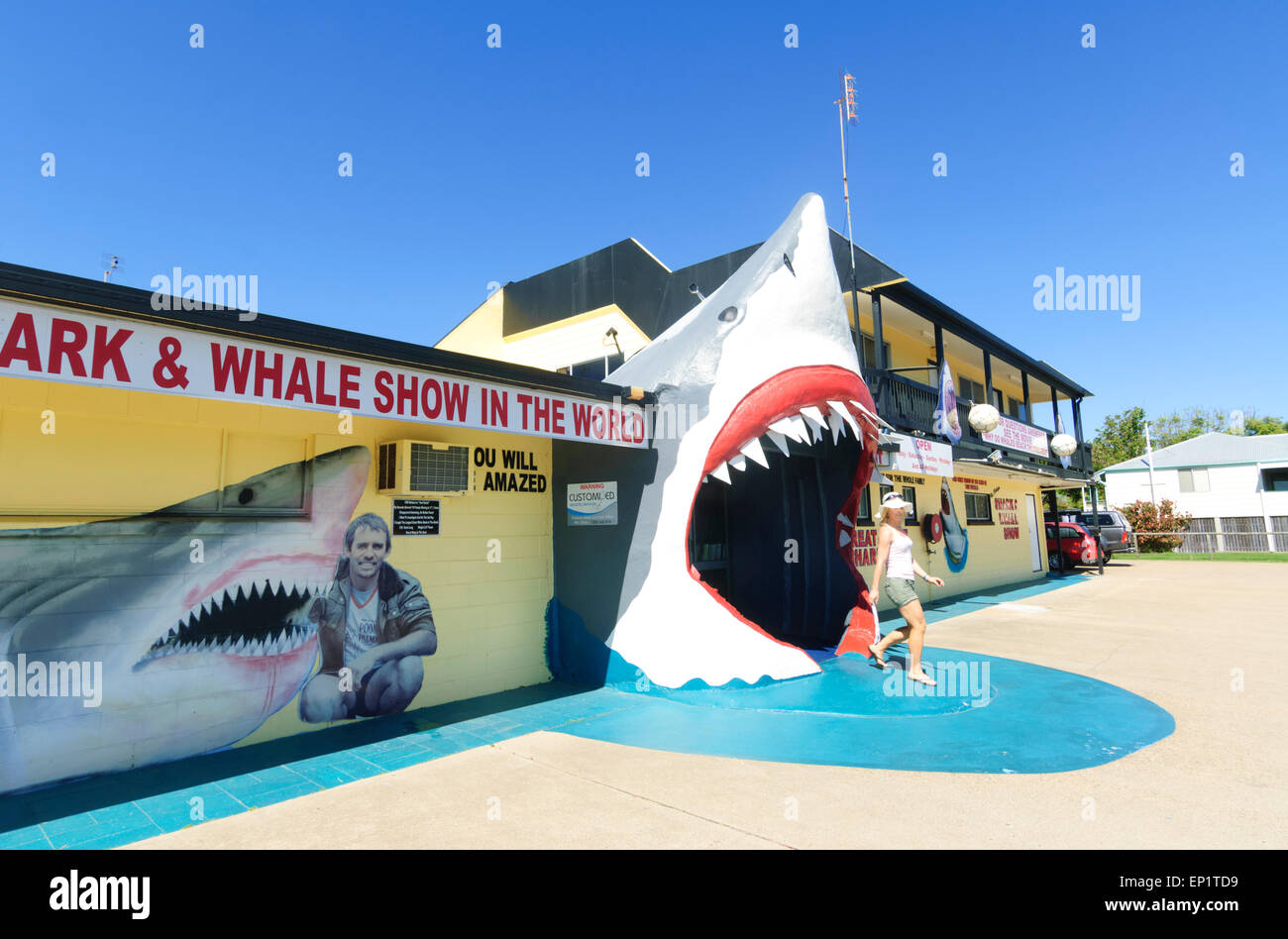 Vic Hislop Hai und Wal zeigen, Hervey Bay, Queensland, Queensland, Australien Stockfoto