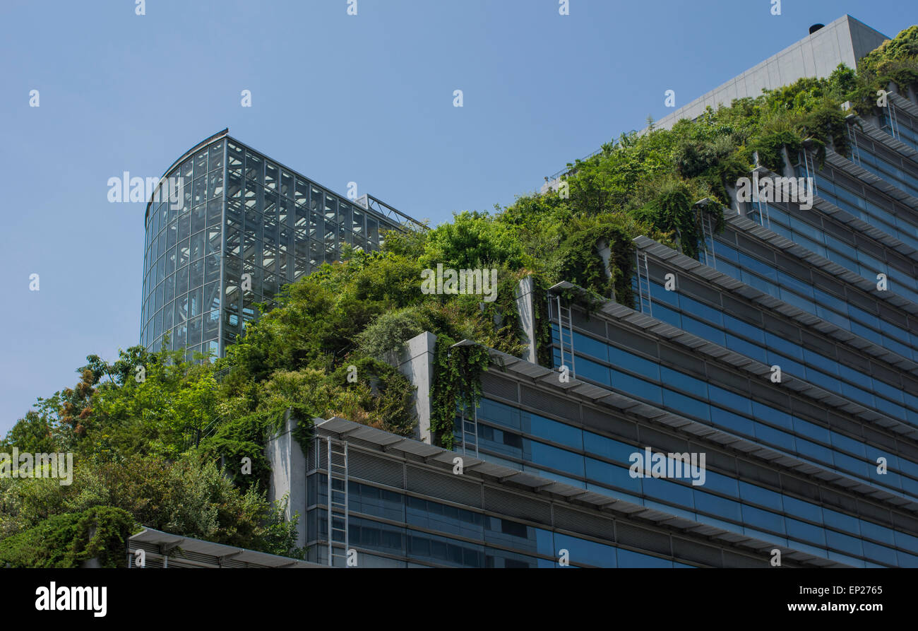 ACROS Fukuoka, Fukuoka, Japan. Ökologische Architektur, mit grünen Schritt Garten außen. Stockfoto