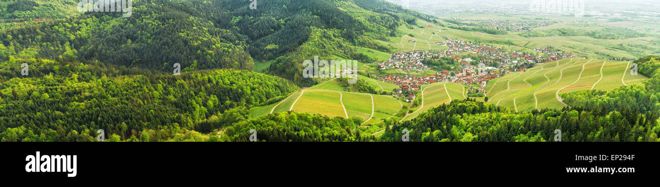 Panoramablick über den Schwarzwald und typisches Dorf. Deutschland. Europa. Stockfoto