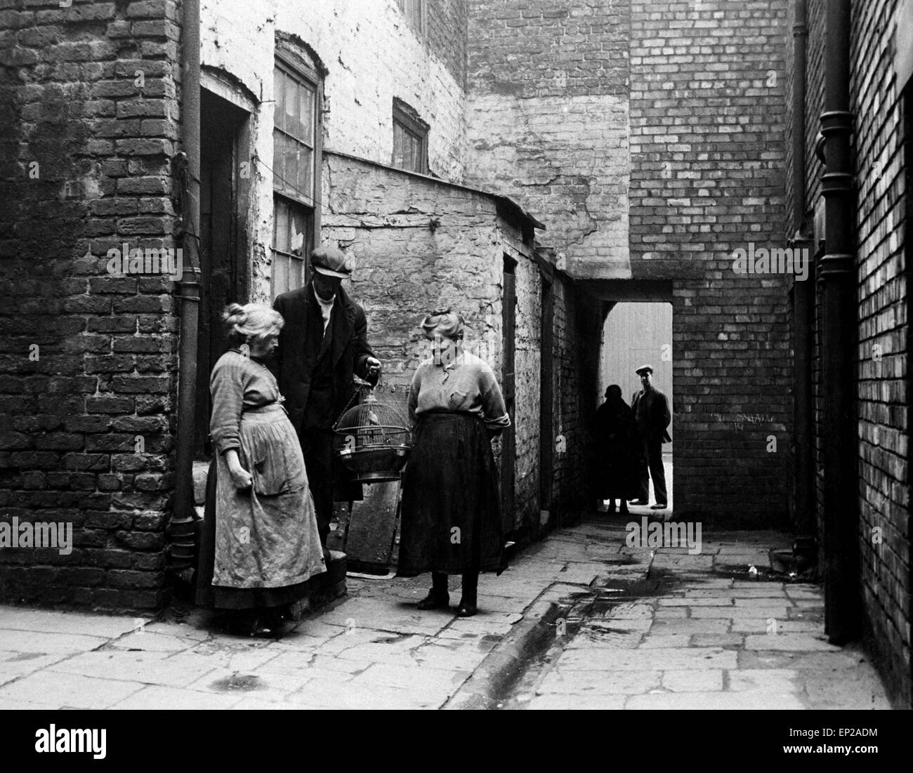 Die Besatzer von Nr. 3 Court, Clayton Street, Liverpool, mit ihren Kanarienvogel. 2. März 1933 Stockfoto