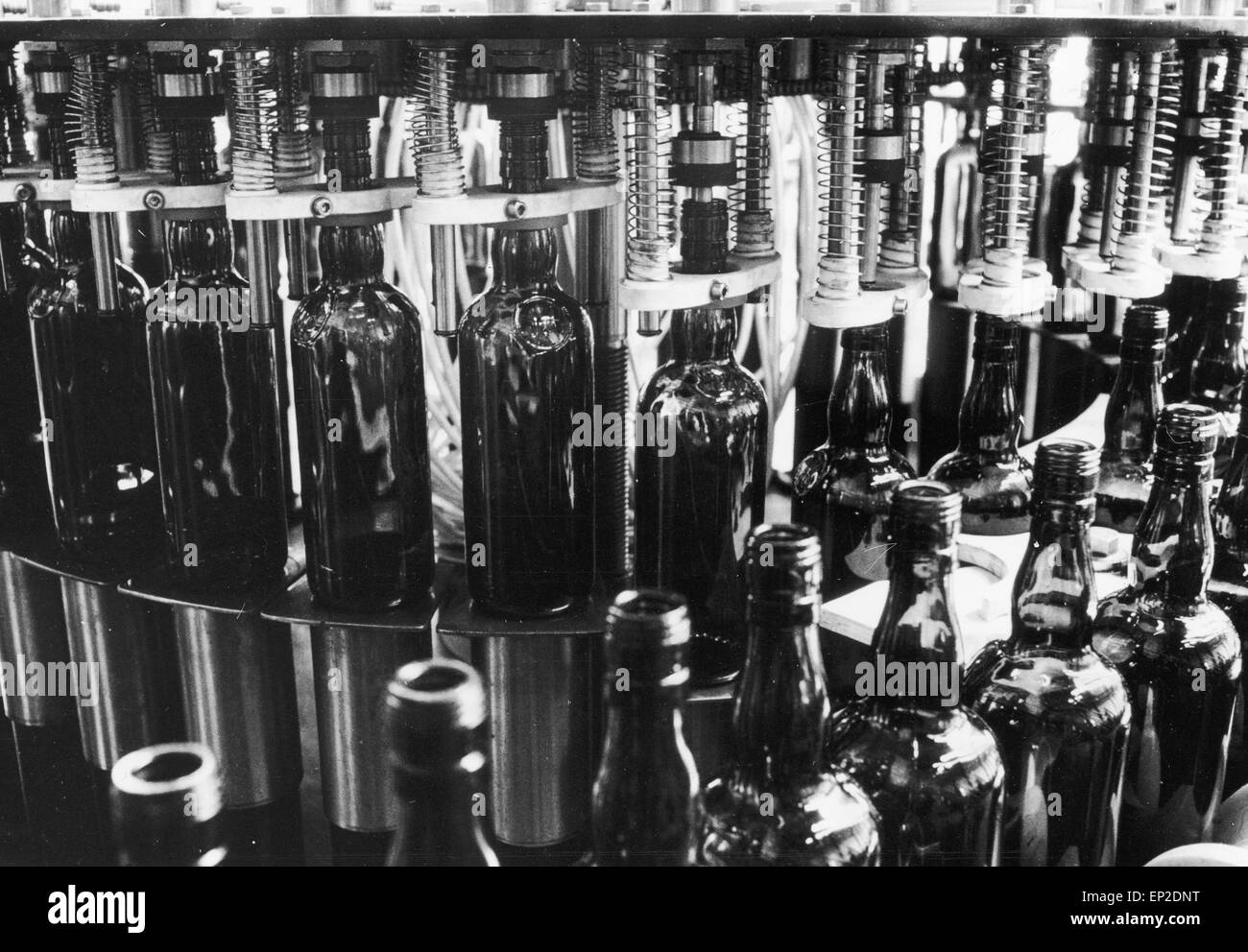 Der Real Scotch Whisky - eine automatische Abfüllmaschine an der Abfüllanlage. Es gibt sechs dieser Maschinen, von denen jeder 120 Flaschen pro Minute, füllt eine Summe von 1 Million Flaschen in einer 40-Stunden-Woche zu geben. Stockfoto