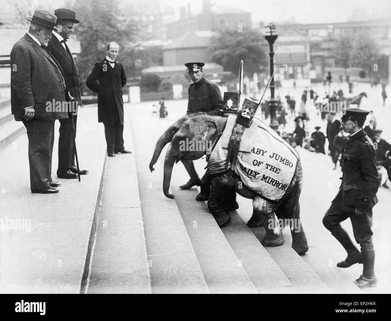 Täglicher Spiegel Elefanten Jimbo und Jumbo sind auf die Portsmouth Rathaus Schritte durch den Bürgermeister und Stadtrat J H Gorke begrüßt. 24. September 1913. Stockfoto