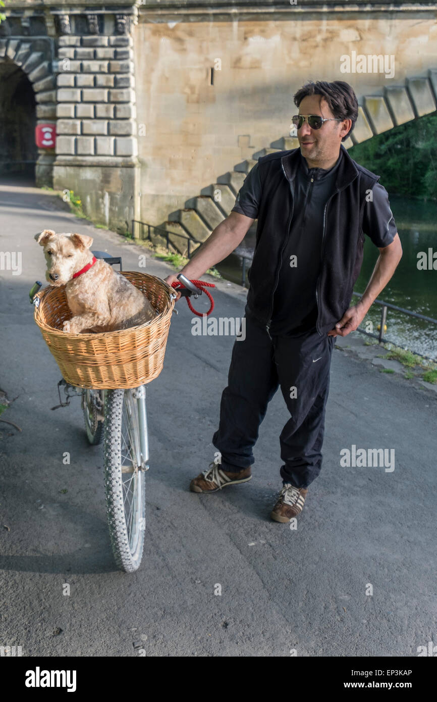 Mann schob Fahrrad mit kleiner Hund im Korb vorn Stockfoto