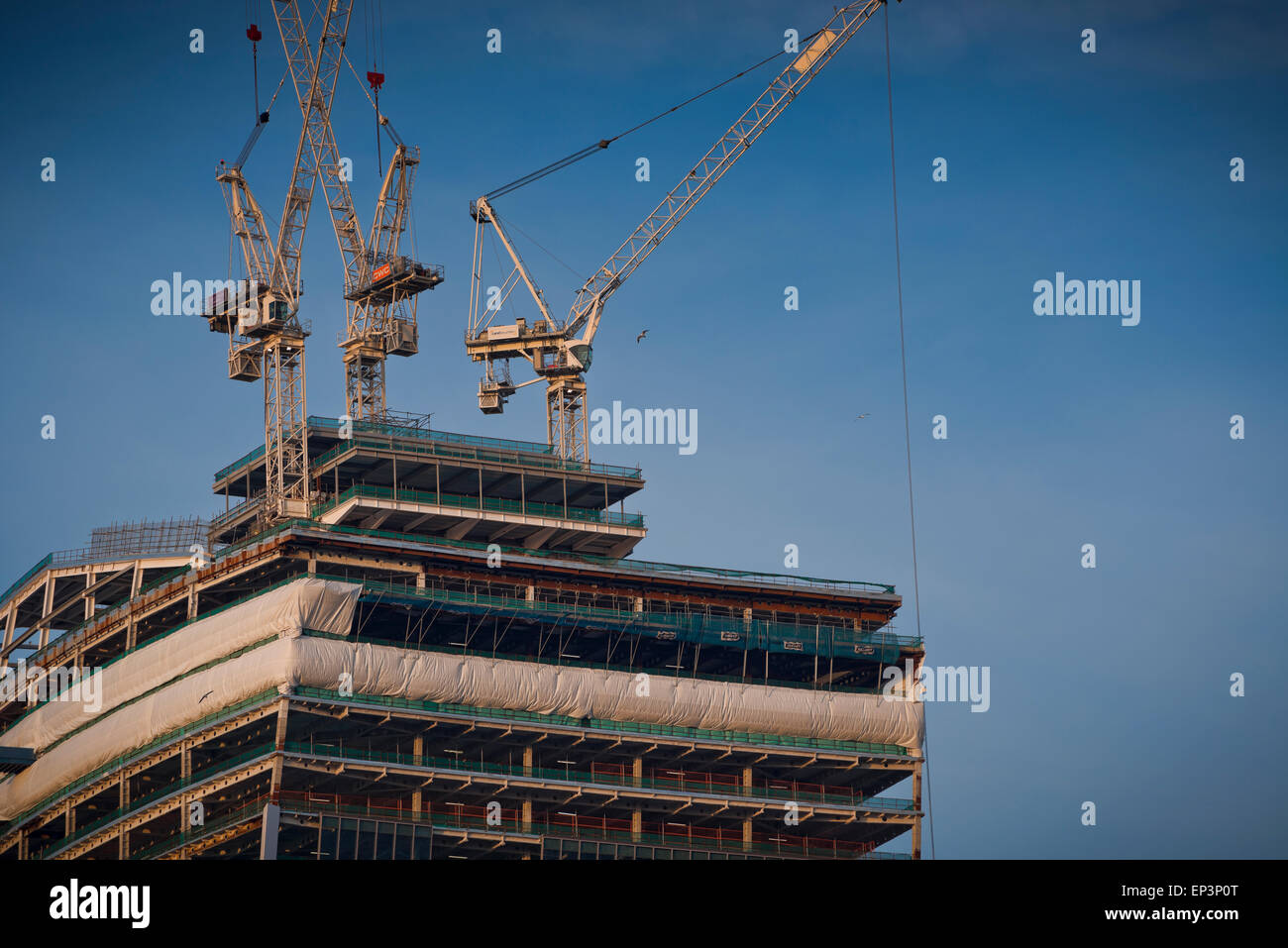 Kraniche auf dem Walkie Talkie Gebäude während der Bauphase Stockfoto